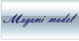 Mogami Model