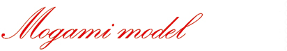 Mogami model